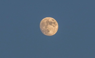La lune, illustration