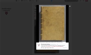 Capture d'écran d'un tweet de la Harvard Library montrant le livre «Des destinées de l'âme», du Français Arsène Houssaye, relié en peau humaine