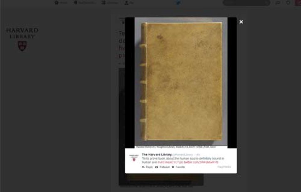 Harvard confirme posséder un livre relié en peau humaine