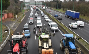 Lors de la manifestation des agriculteurs le 31 janvier à Toulouse.