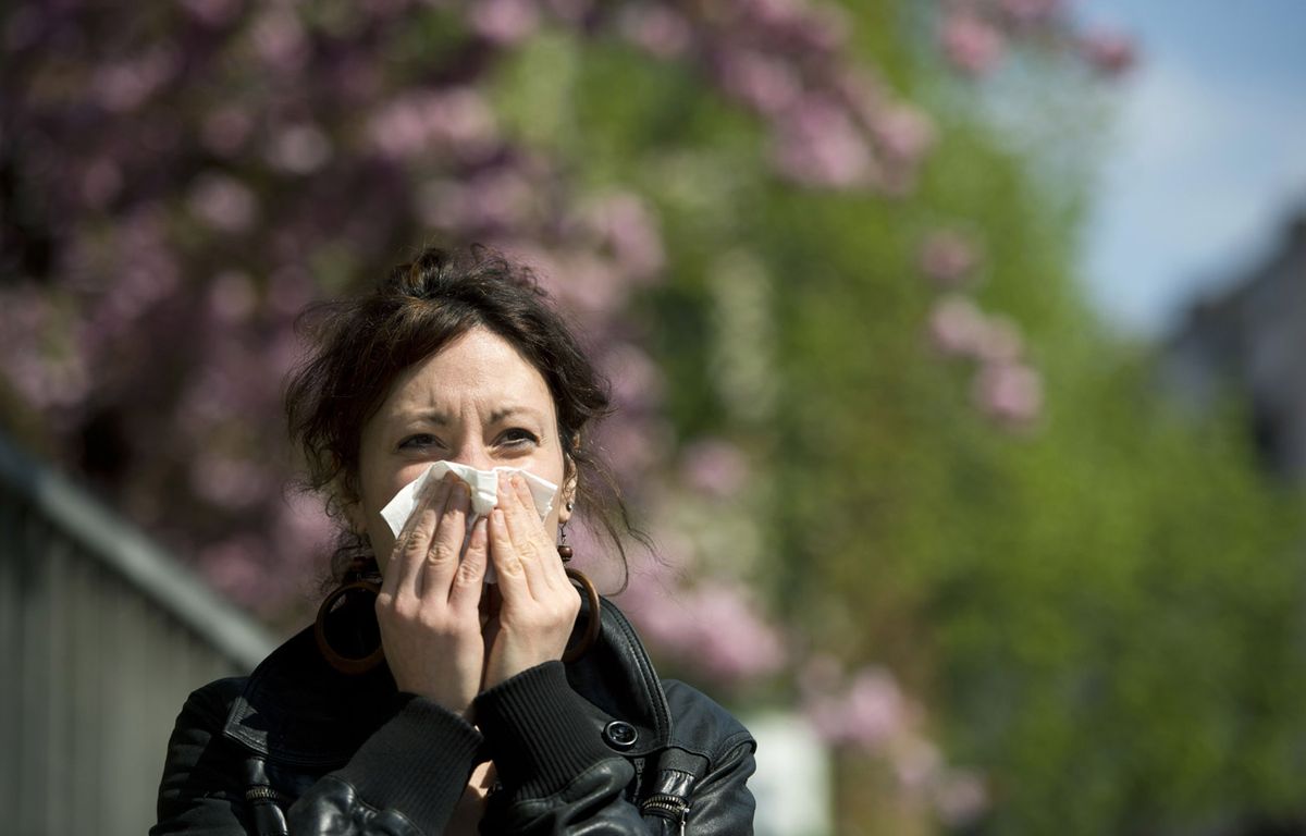 Une trentaine de départements placés en alerte rouge face aux allergies au pollen