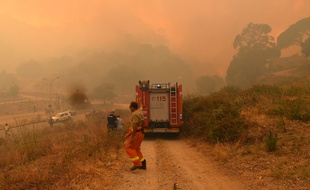 Des pompiers luttent contre des incendies en Sicile, le 10 juillet 2017.