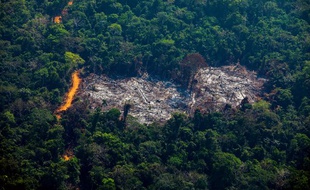 Vue aérienne de la déforestation au Brésil, le 28 août 2019.