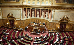 Paris le 23 janvier 2012. Illustration seance hemicycle Senat lors du debat sur la proposition de loi sur la reconnaissance du genocide armenien.