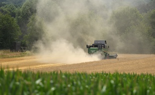 Les 480 employés d'une exploitation agricole allemande ont été placés en quarantaine.