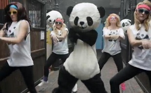 Capture d'écran de la vidéo Gangnam Style Panda.