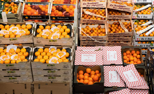 Les fruits et légumes au marché de Rungis. (illustration)