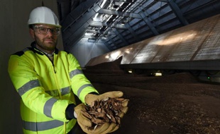 Un technicien montre des plaquettes de bois qui vont être brûlées dans la plus grande centrale biomasse de France, à Gardanne, près d'Aix-en-Provence, le 3 février 2016