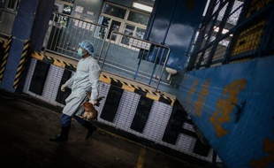 L'inquiétante grippe aviaire H7N9 se propage en Chine, où les autorités sanitaires ont annoncé samedi qu'une fillette de 7 ans était porteuse du virus à Pékin, le premier cas officiellement enregistré dans la capitale.