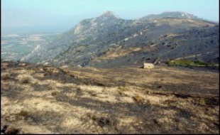 L'incendie au cours duquel neuf pompiers ont été blessés samedi en Haute-Corse, dont trois grièvement, et celui qui a menacé un temps des habitations sur les hauteurs d'Ajaccio, en Corse-du-Sud, étaient en passe d'être éteints dimanche après-midi et ne présentaient plus de risques, a-t-on appris auprès des pompiers.