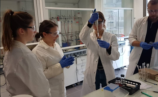Lucille Marin, Marine Tellier et Alice Rousseau représenteront la France au prestigieux concours ISEF à Phoenix, en mai.