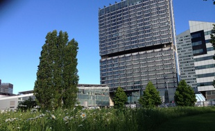 Le parc des Dondaines, en bordure d'Euralille