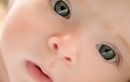 Quelle sera la couleur des yeux de mon bébé ?