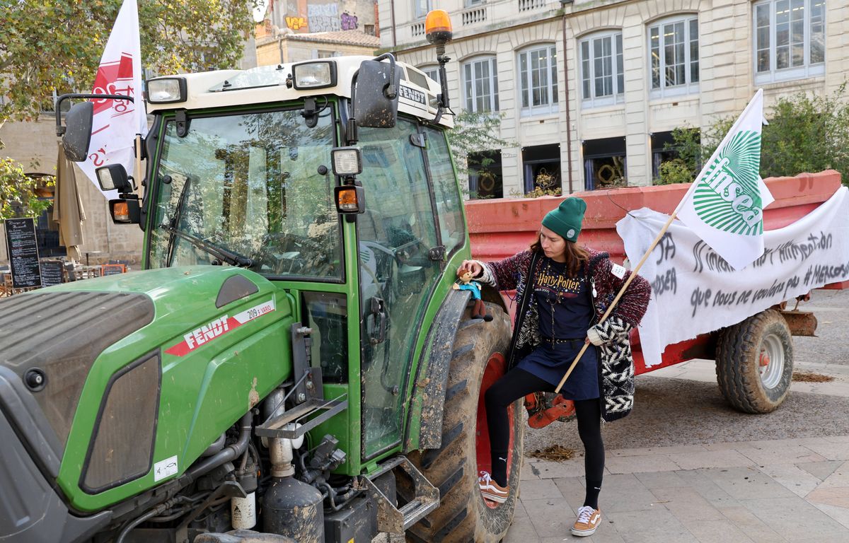 Colère des agriculteurs : Quelles promesses ont été tenues ? image