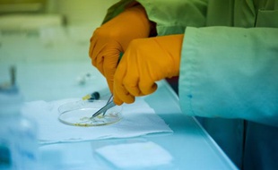 Photo d'illustration: un scientifique dans un laboratoire.