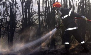 Un pompier combattant un feu de forêt (illustration).