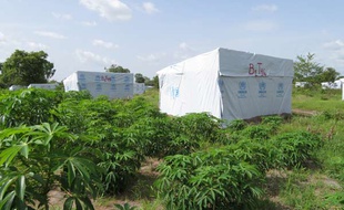 Le camp de Maingama, au Tchad, le 10 juin 2014.