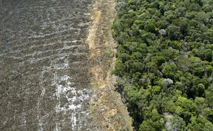 Vue aérienne d'une partie de la forêt près de Sinop, au Brésil, en août 2020.