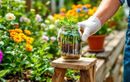 Ce cocktail maison à base de tailles de jardin dope la floraison de vos plantes d’été (et personne n’y pense)
