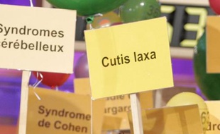 Crise économique mondiale et climat de défiance vis-à-vis du médicament en France sont autant de menaces pour les médicaments "orphelins", développés pour le traitement des maladies rares, se sont alarmés des experts lors du colloque "Rare 2011".