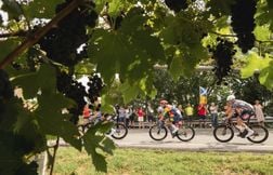 Décès d’un jeune coureur après une chute, la Vuelta junior annulée