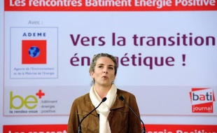 La ministre de l'Ecologie, du Développement durable et de l'Energie Delphine Batho a affirmé lundi à Cherbourg (Manche), lors d'une visite consacrée aux énergies renouvelables, que la France "a le potentiel pour devenir leader mondial" dans ce domaine, a constaté un correspondant de l'AFP.