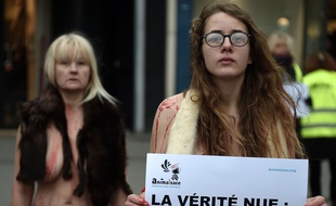 Des militants d'Animalsace place Kléber à Strasbourg le 14 janvier 2017 / FREDERICK FLORIN