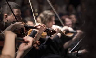Un orchestre (illustration).