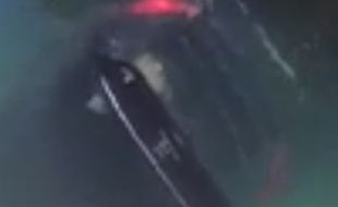 Une voiture a plongé dans le Vieux-Port de Marseille, le 5 août 2017.