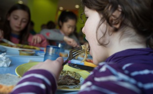 Le projet de loi alimentation examiné dès ce mardi à l'Assemblée prévoit que les menus servis dans les cantines scolaires devront comporter au moins 20% de produits bios d'ici 2022.