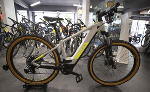 Les voleurs s'étaient spécialisés dans le cambriolage de magasins de vélos électriques.
