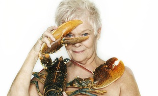 Judi Dench a posé avec un homard pour la campagne Fishlove.