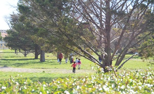 Le parc Montcalm, à Montpellier.