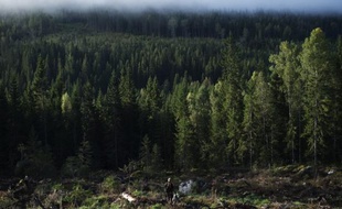 L'est de la Scandinavie et le bassin méditerranéen seront le plus affectés par le réchauffement climatique qui bouleversera l'Europe dès 2021, selon des projections publiées jeudi par l'Agence Européenne pour l'Environnement