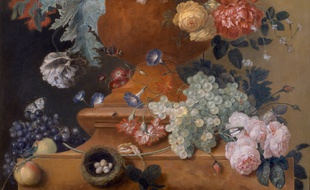 «Vase de fleurs dans un vase en terre cuite», de Jan Van Huysum.
