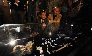 Le squelette d'un hominidé découvert en Afrique du Sud est montré au public le 8 avril 2010. Il s'agit de Sediba, un austrolopithèque.