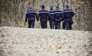 Des recherches menées par des gendarmes en forêt.