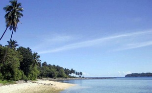Les îles Andaman et Nicobar, perdues dans l'océan Indien, abritent quatre autres tribus dites "primitives, dont chacune compte moins de 350 membres.