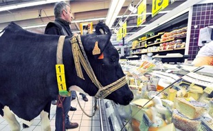 Un producteur proteste contre le prix du lait dans un supermarché de Lomme (Nord).