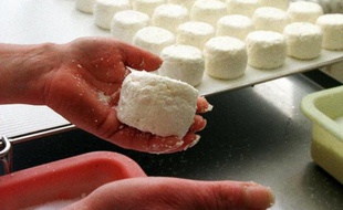 Des crottins de Chavignol, chez un fromager-affineur de Sancerre