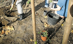 Il existe onze jardins partagés.
