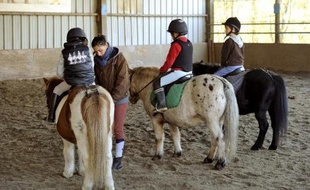 Des enfants prennent un cours d'équitation dans un centre équestre le 13 novembre 2013 à Orgères (Ille-et-Vilaine)