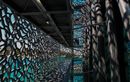 Et si les punaises de lit du Mucem à Marseille venaient des œuvres ?