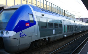 Illustration d'un TER, à Grenoble (Isère).