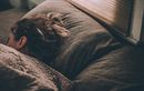 Sommeil et performance sportive : de l’importance de bien dormir