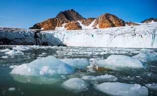 Des morceaux de glace flottent devant le glacier Apusiajik au Groenland, le 17 août 2019.