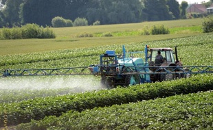 Un agriculteur pulvérise des pesticides sur son champ, le 24 juin 2014 à Vimy, près de Lens