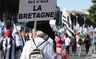 Illustration d'un rassemblement pour la réunification de la Bretagne en 2014 à Nantes.