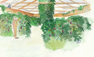 Un concept innovant de ferme urbaine verra le jour dans l'un des îlots de la ZAC Bastide Niel, sur la rive droite de Bordeaux.