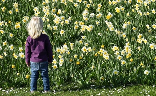 Une étude montre que les enfants sont aussi touchés par les perturbateurs endocriniens.
